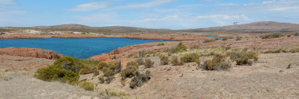 Caleta Sara