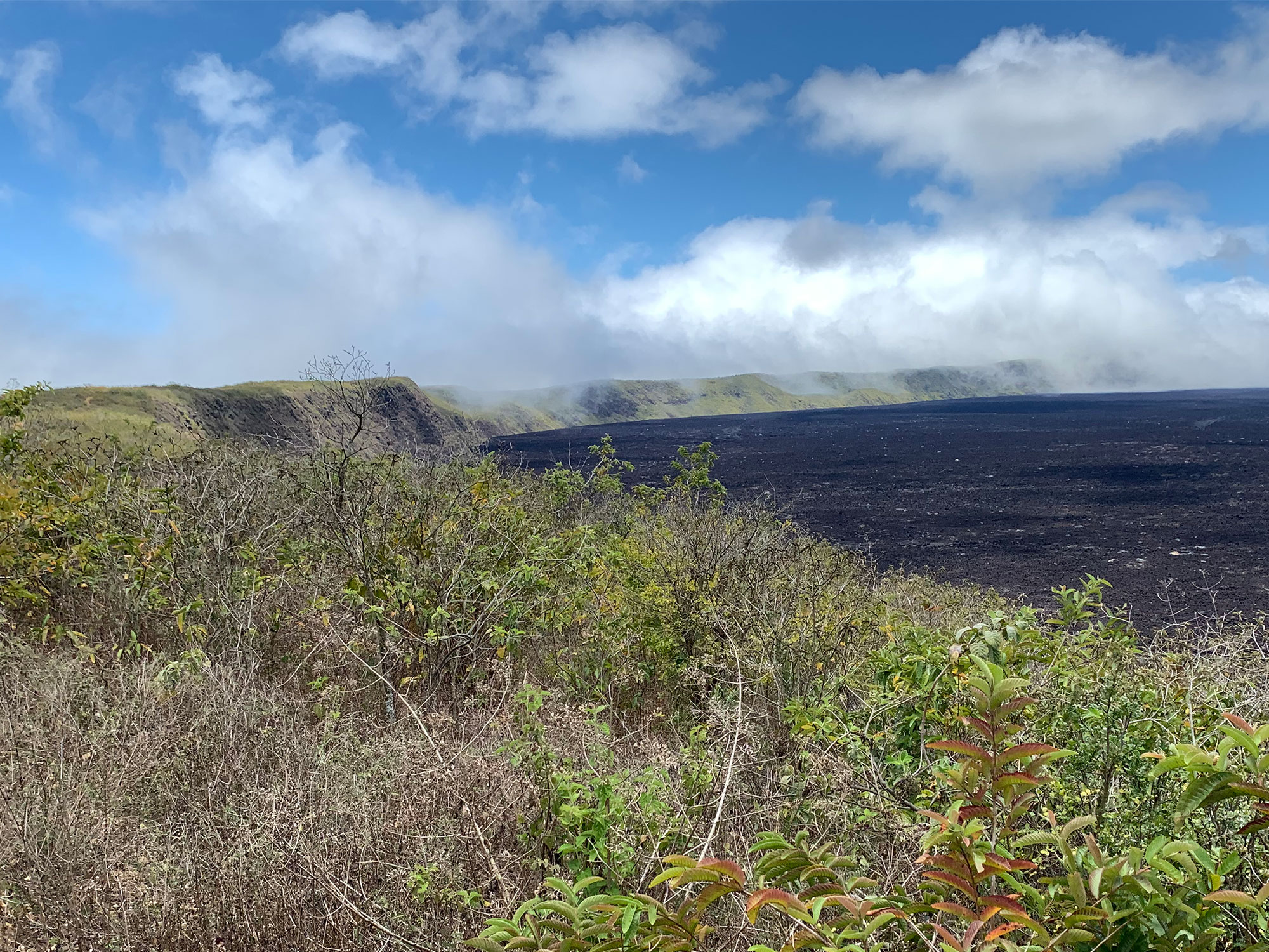 Cotacachi volcano